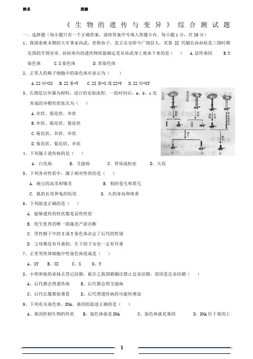 生物的遗传与变异.单元检测题