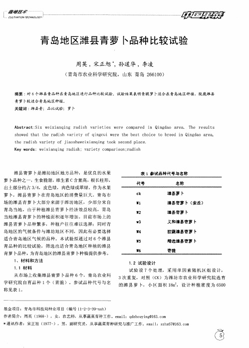 青岛地区潍县青萝卜品种比较试验