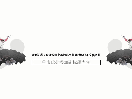 渤海证券：企业改制上市的几个问题(袁鸿飞)-文档资料