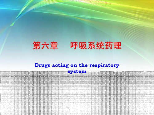 兽医药理与毒理学呼吸系统药理