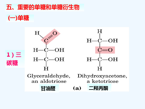 五重要单糖与单糖衍生物