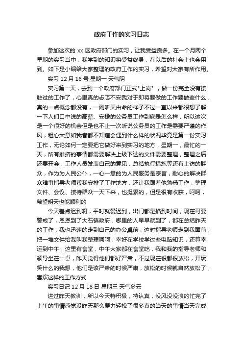 政府工作的实习日志