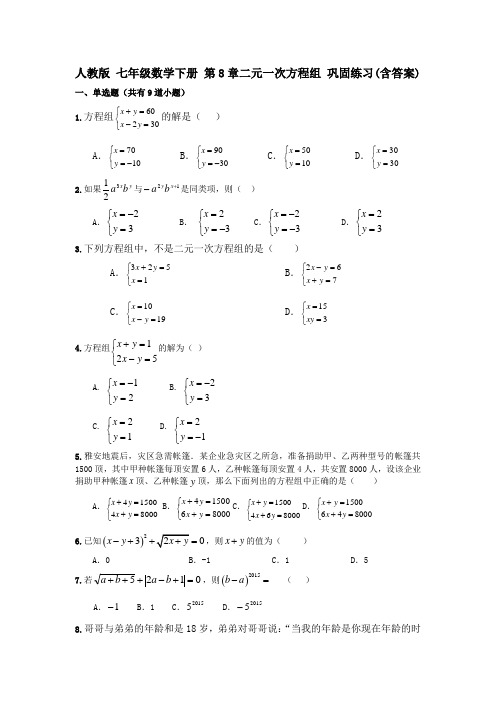 人教版 七年级数学下册 第8章二元一次方程组 巩固练习(含答案)