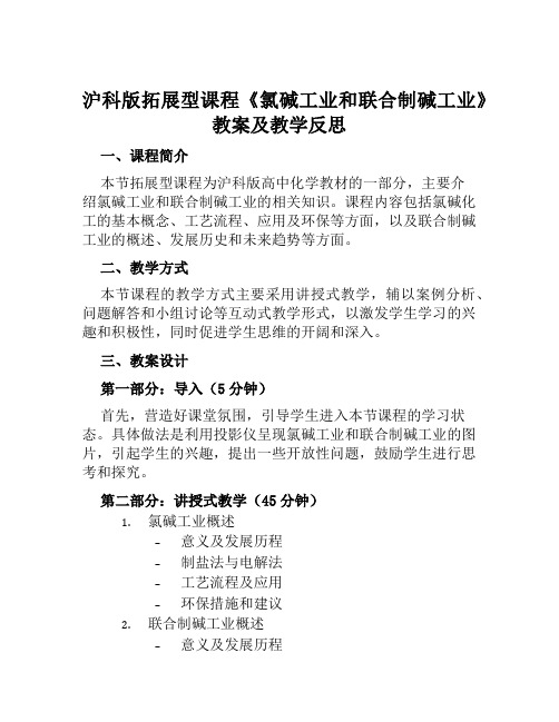 沪科版拓展型课程《氯碱工业和联合制碱工业》教案及教学反思