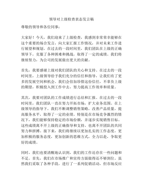 领导对上级检查表态发言稿