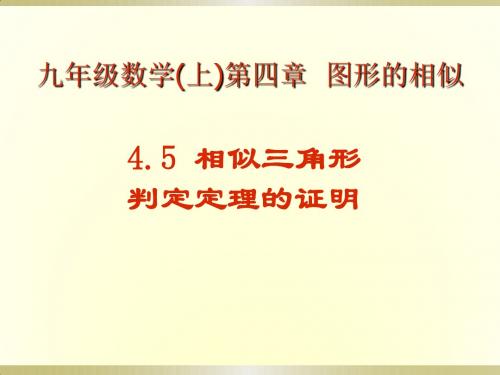 4.5相似三角形判定定理的证明