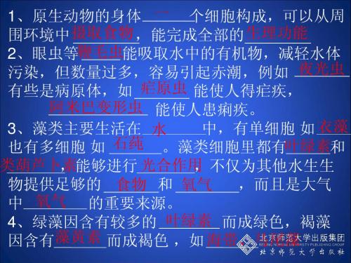 22.3 植物的主要类群(第1课时)