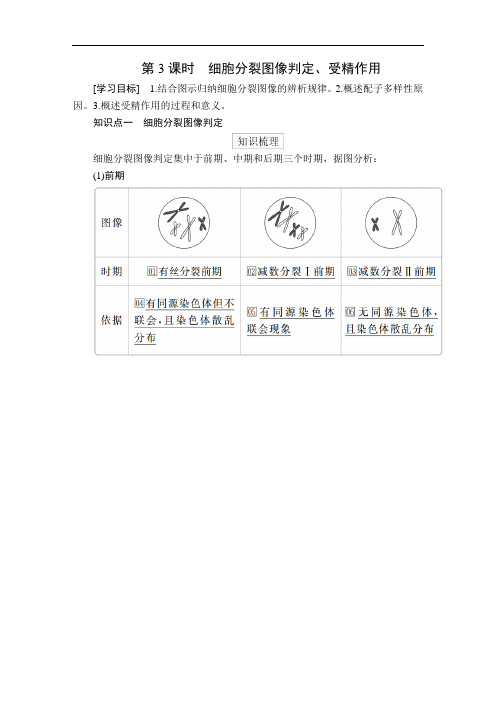 高中生物(新教材)《细胞分裂图像判定、受精作用》导学案+课后练习题