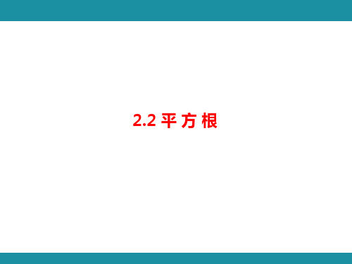 2.2 平 方 根  知识考点梳理(课件)北师大版数学八年级上册