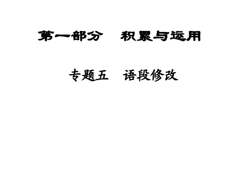 【ZKDG】2016中考语文(陕西省)课件：第1部分 专题5 积累与运用(40张)