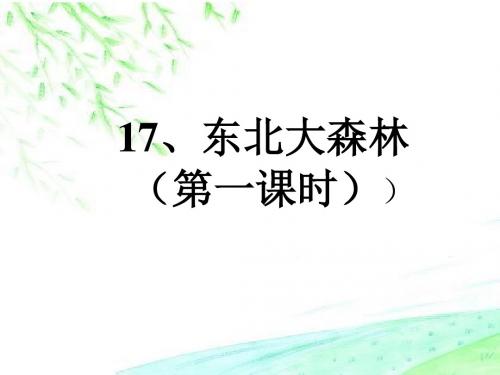 17东北大森林