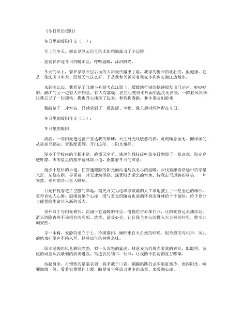 冬日里的暖阳(作文12篇)