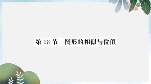 中考数学复习第七章图形与变换第28节图形的相似与位似正文课件