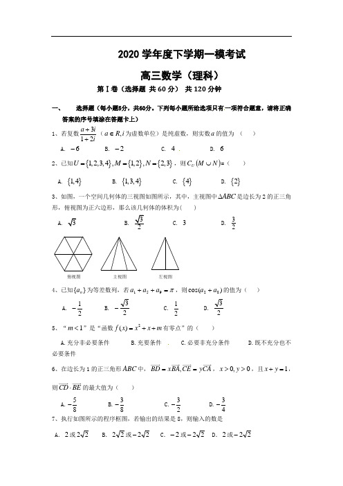 河北省衡水中学2020届高三第一次模拟考试(数学理)