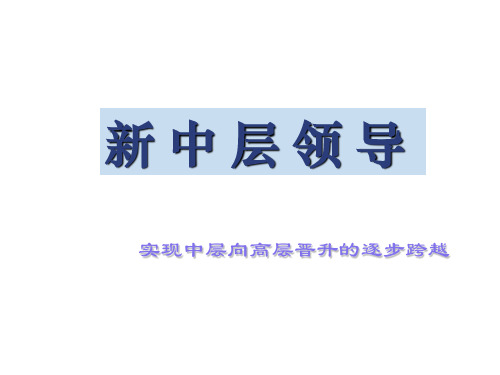 中层向高层晋升的逐步跨越