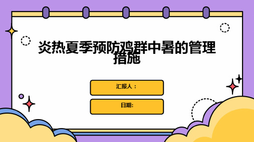 炎热夏季预防鸡群中暑的管理措施