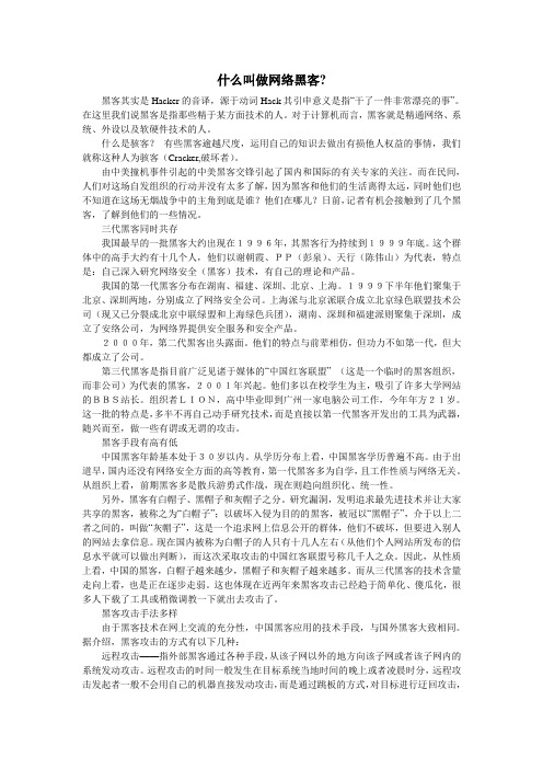 什么叫做网络黑客