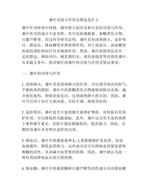 桑叶功效与作用及禁忌是什么