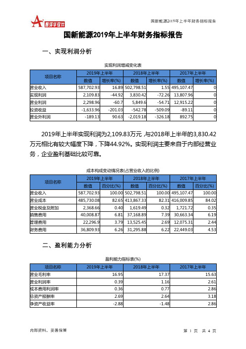 国新能源2019年上半年财务指标报告