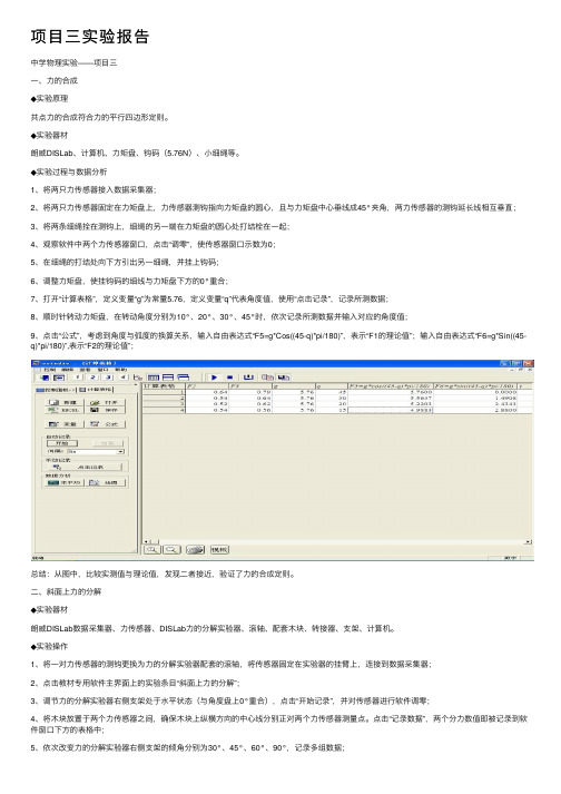 项目三实验报告