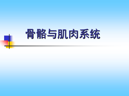 骨关节正常、基本病变