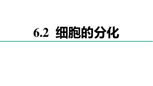 人教版高中生物必修一《细胞的分化》细胞的生命历程PPT课件