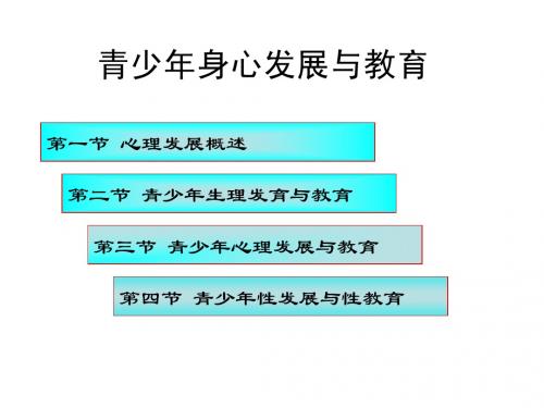 第十三章 青少年身心发展与教育