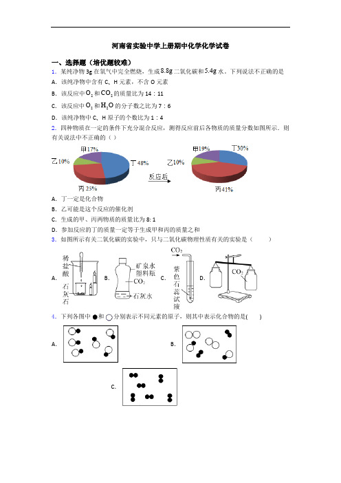 河南省实验中学上册期中初三化学初三化学试卷