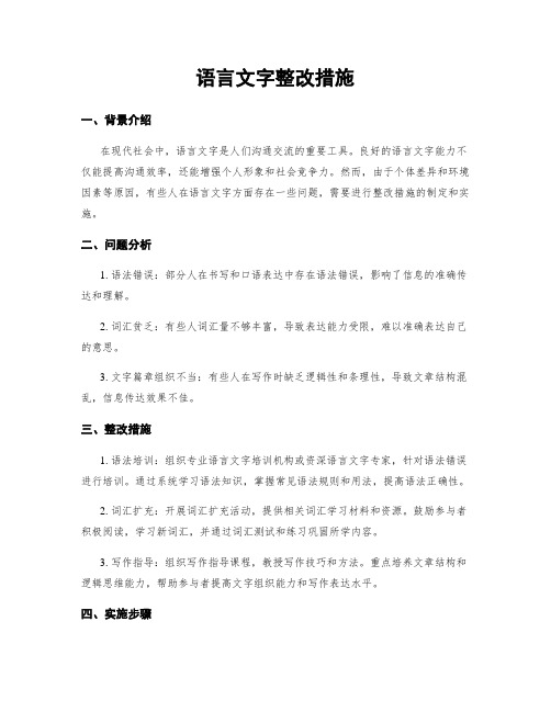 语言文字整改措施