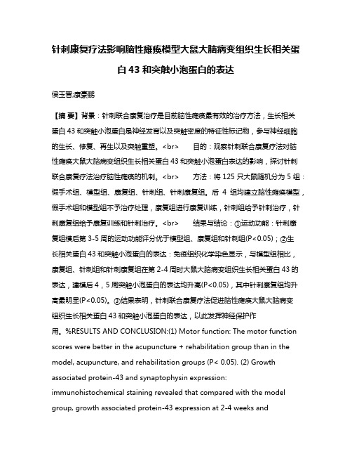 针刺康复疗法影响脑性瘫痪模型大鼠大脑病变组织生长相关蛋白43和突触小泡蛋白的表达