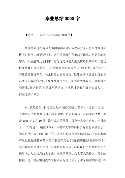 毕业总结3000字