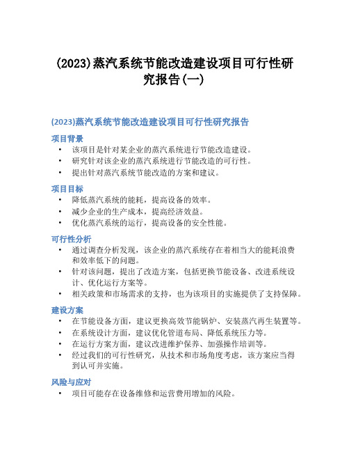 (2023)蒸汽系统节能改造建设项目可行性研究报告(一)