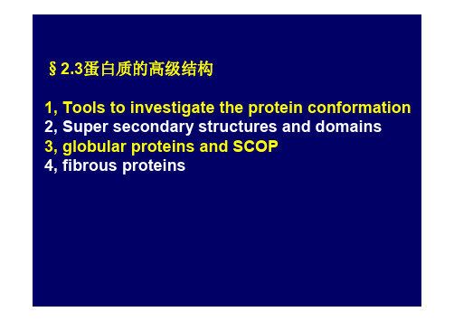 1蛋白质高级结构