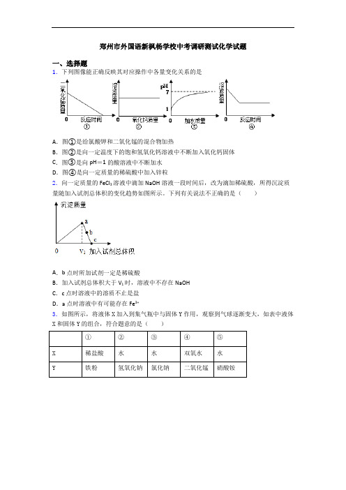 郑州市外国语新枫杨学校中考调研测试化学试题