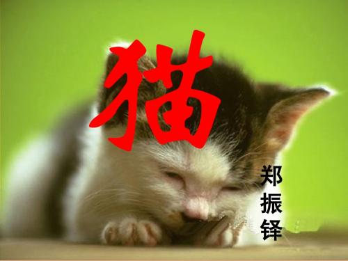 郑振铎《猫》