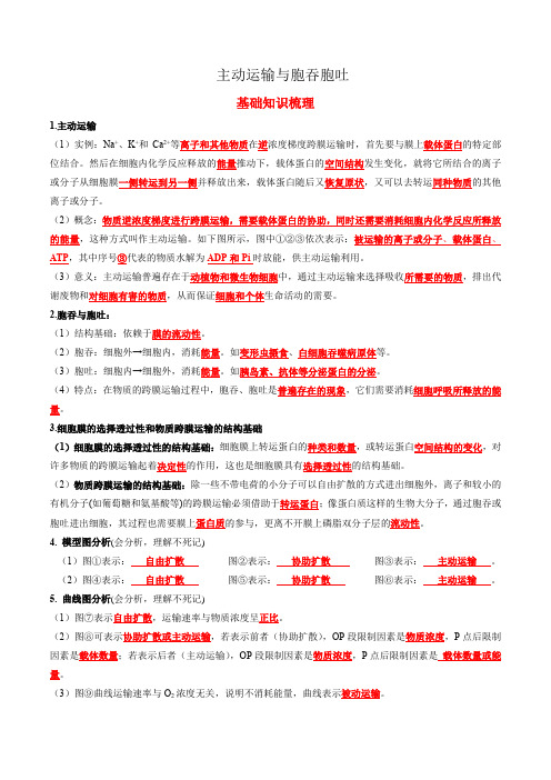 2023-2024学年高一生物人教版2019必修1试题4.2主动运输与胞吞胞吐2