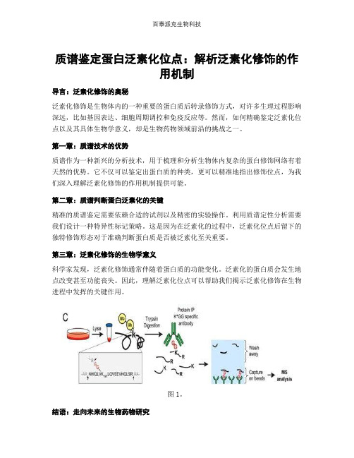 质谱鉴定蛋白泛素化位点：解析泛素化修饰的作用机制