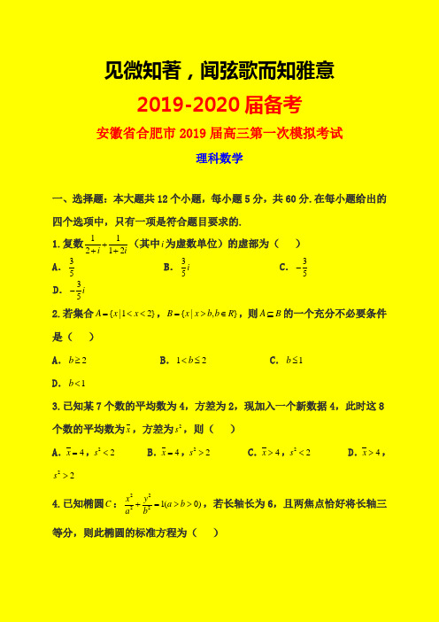 2019-2020年合肥一模：安徽省合肥市2019届高三第一次模拟考试数学(理)试题-附详细答案