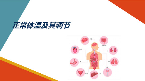 消化系统与能量代谢 能量代谢和体温 正常体温及调节 生理学课件