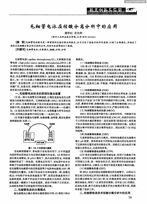 毛细管电泳在核酸分离分析中的应用