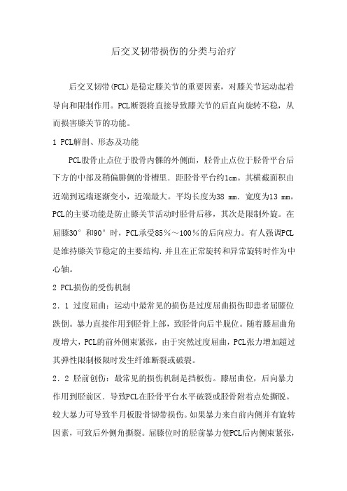 后交叉韧带——精选推荐