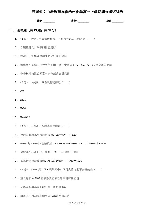 云南省文山壮族苗族自治州化学高一上学期期末考试试卷