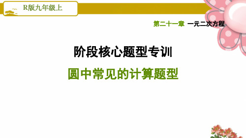 人教版九年级数学上册《圆》阶段核心题型专训   圆中常见的计算题型