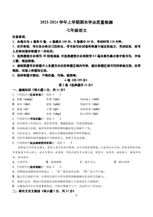 四川省成都市高新区2023-2024学年七年级上学期期末语文试题(含答案)