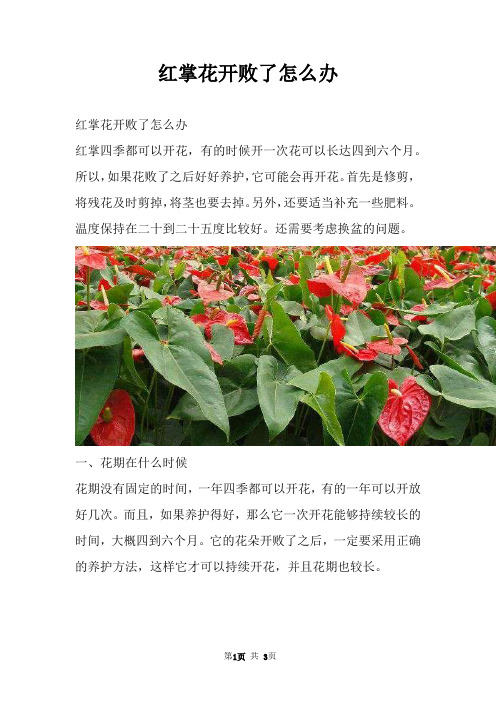 红掌花开败了怎么办