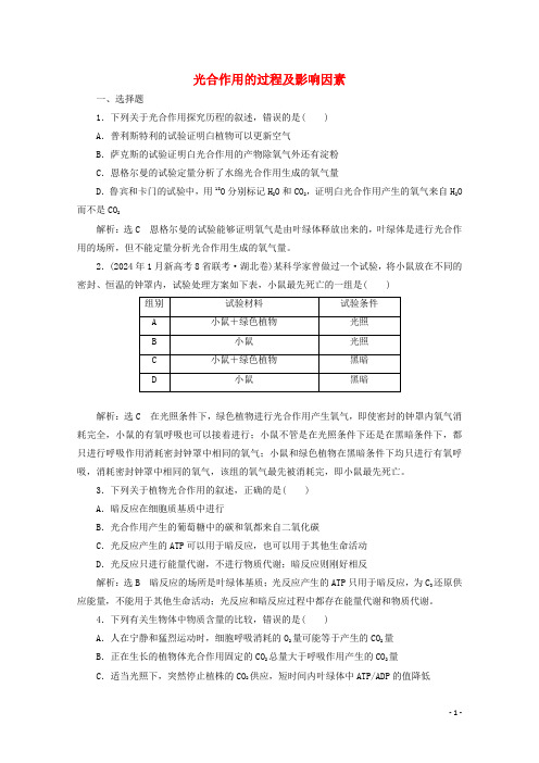 2024年高考生物一轮复习课时检测十光合作用的过程及影响因素含解析新人教版