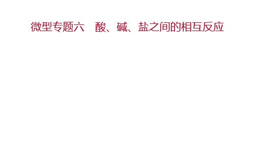 备战邵阳中考化学微型专题六 酸、碱、盐之间的相互反应课件