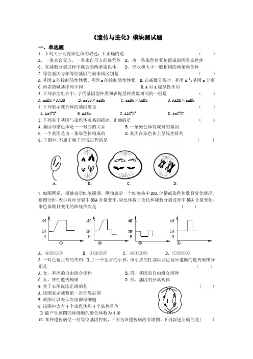 生物必修二 《遗传与进化》测试题