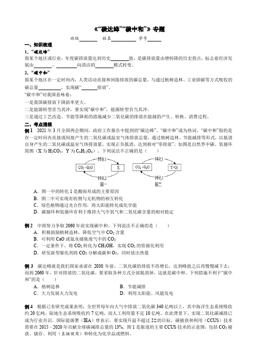 “碳达峰”、“碳中和 考点测试 2022年中考化学专题复习