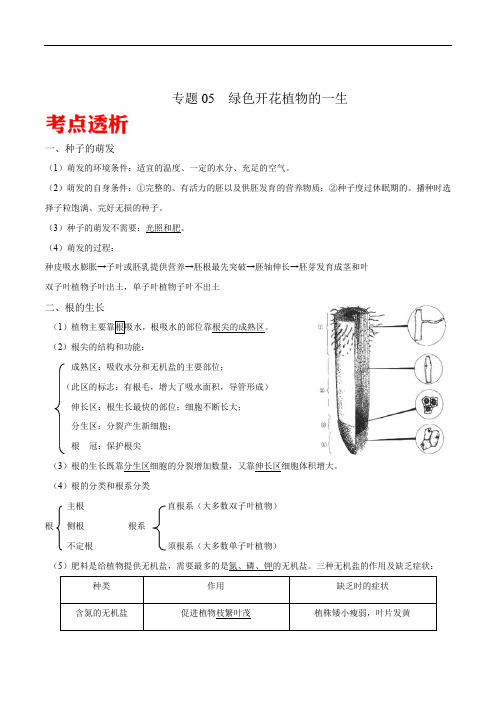 专题05 绿色开花植物的一生-冲刺2020年中考生物核心考点透析(解析版)